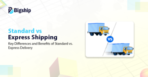 Read more about the article Understanding Express Shipping and Standard Shipping